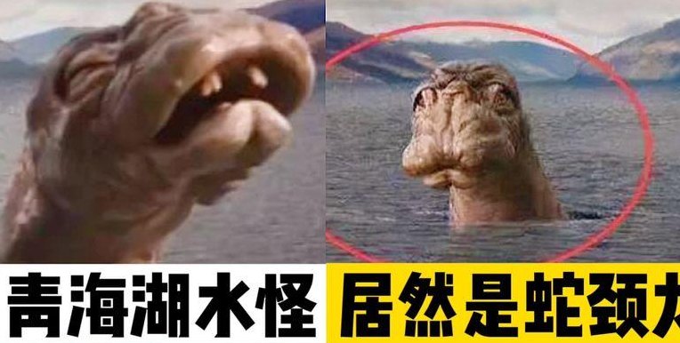 青海湖水怪（青海湖水怪之谜视频）