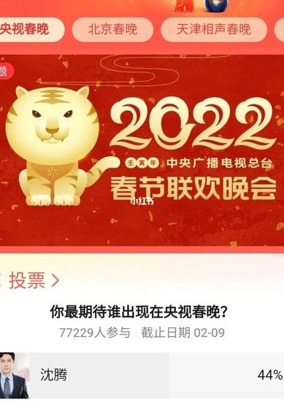春晚投票（春晚投票在哪里）