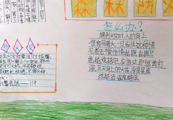 森林防火内容怎么写（森林防火内容怎么写3年级）