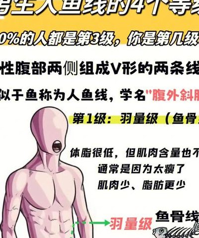 人鱼线是什么（人鱼线是什么意思图片）