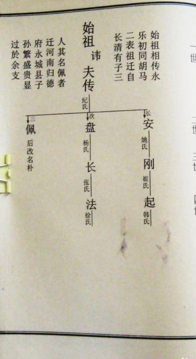 现代家谱怎么写（现代家谱怎么写好看）