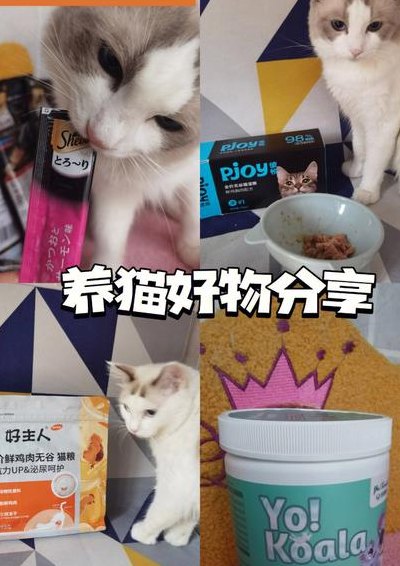 家里没猫粮给猫吃什么（家里没猫粮给猫吃什么比较好）