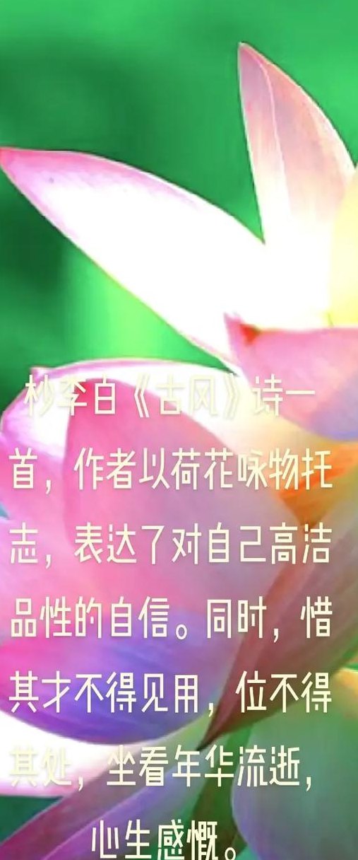 一木一浮生（一木一浮生出自哪里）