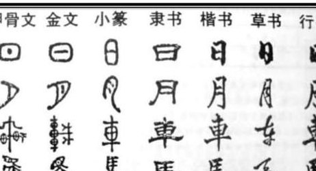 文字的演变（文字的演变过程图 图解）