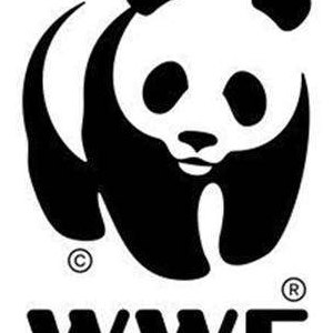 世界野生动物会徽图片（世界野生动物会徽图片高清）