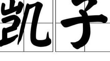 凯子什么意思（凯子 什么意思）