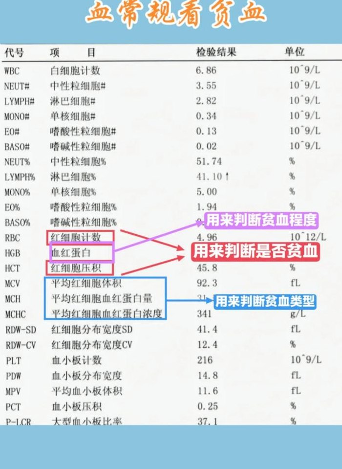 血常规22项检查多少钱（血常规22项检查多少钱）