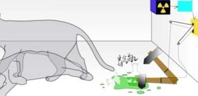 薛定谔的猫什么意思（薛定谔的猫什么意思实验结果）