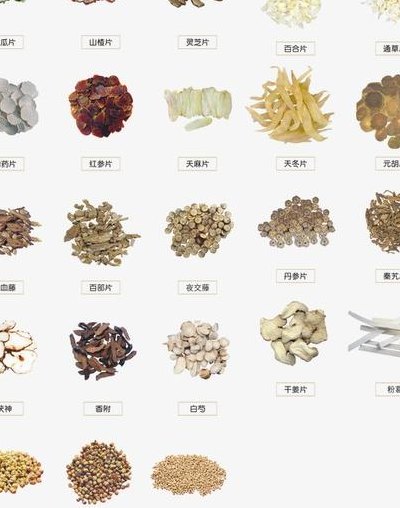 药材图片大全（药材图片大全及名称药材图片）