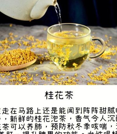 桂花茶的做法（桂花茶的做法大全）