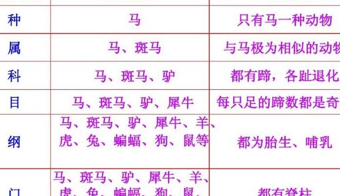 界门纲目科属种总表（界门纲目科属种总表图 全图）