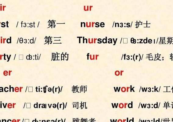 司机用英语怎么写（司机用英语怎么写护士用英语怎么写）