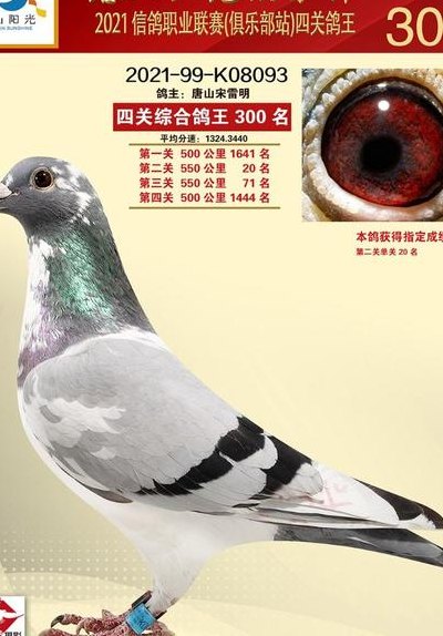 唐山职工信鸽协会（唐山市职工信鸽协会）