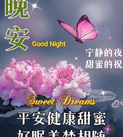 晚安安代表什么意思（晚安安啥意思）