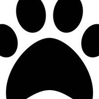 猫爪符号可复制（特殊符号吧猫爪符号）