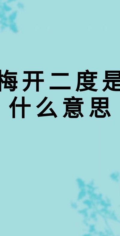 梅开二度什么意思（梅开二度什么意思）