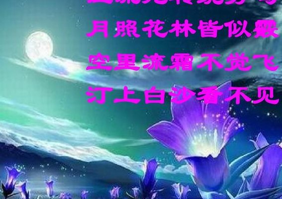 葳蕤是什么意思（灯光葳蕤是什么意思）