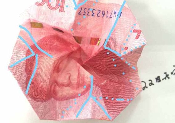 如何用100元折最简单花（用100块钱怎么折花视频）