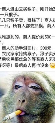 关于卖竹鼠是什么梗的信息