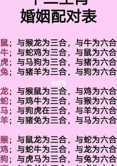 十二生肖顺序配对（12属相最佳婚配表）