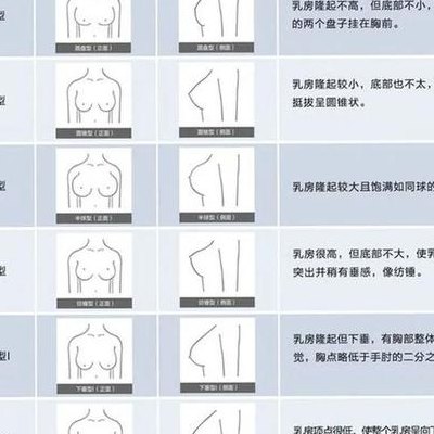 罩杯大小图解（罩杯大小 对照表）