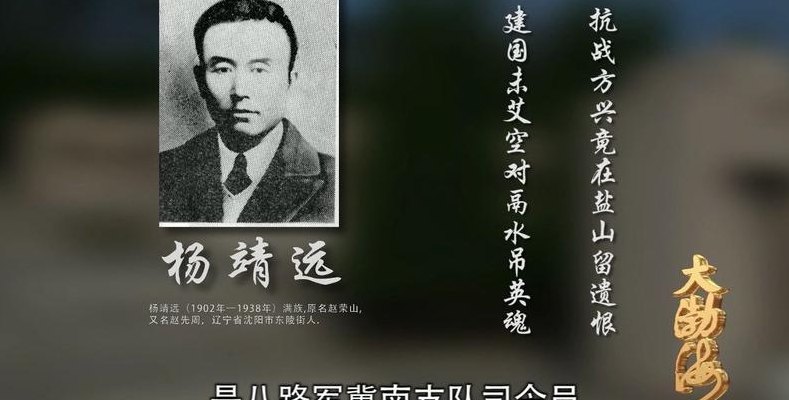 杨阿灿将军原型（杨阿灿将军是哪一年出生的）