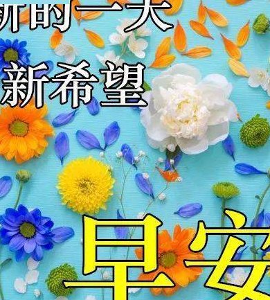 3月15日是什么日（3月15日是什么日子祝福语）