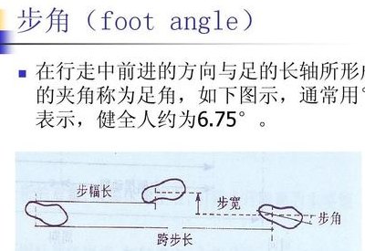 稍息立正先出哪个脚（稍息和立正）
