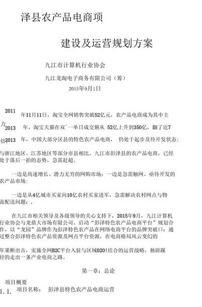农产品电商平台（农产品电商平台商业计划书）