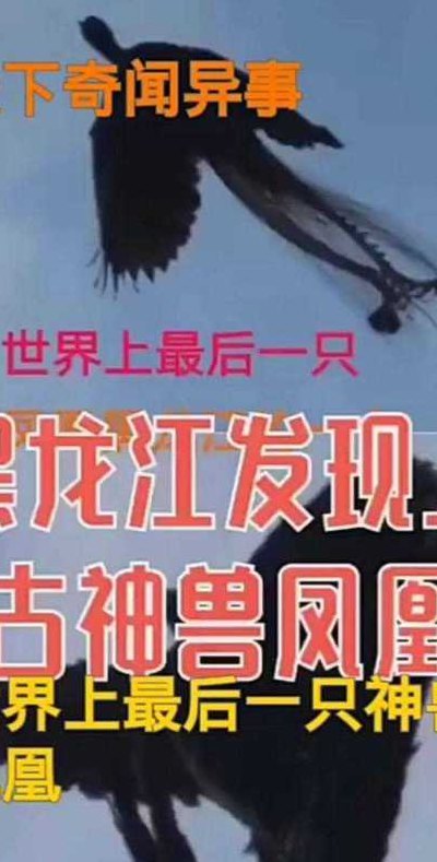 世界上最后一只凤凰（世界上最后一只凤凰长什么样子）