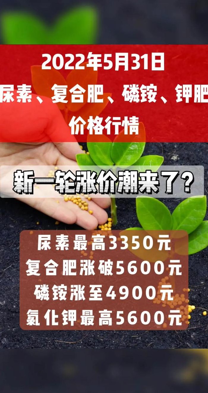 尿素行情（中国好农资化肥尿素行情）