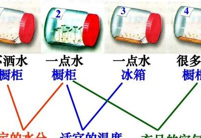 什么的空气（适宜的温度充足的水分什么的空气）