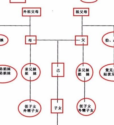 四代旁系血亲关系图（四代旁系血亲关系图解）