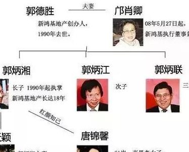 李嘉诚几个儿子（李嘉诚有几个孙子）