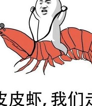 皮皮虾是什么梗的简单介绍