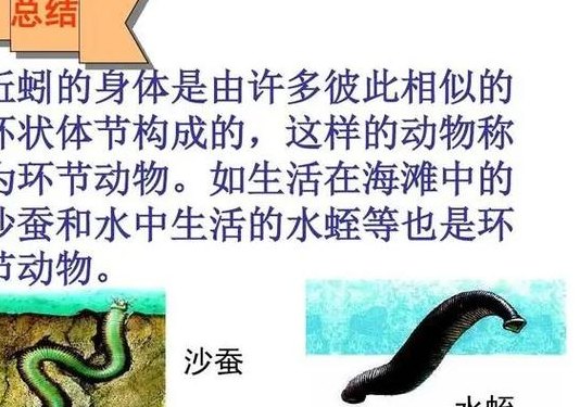 守宫砂的原理（守宫砂的原理科学吗）