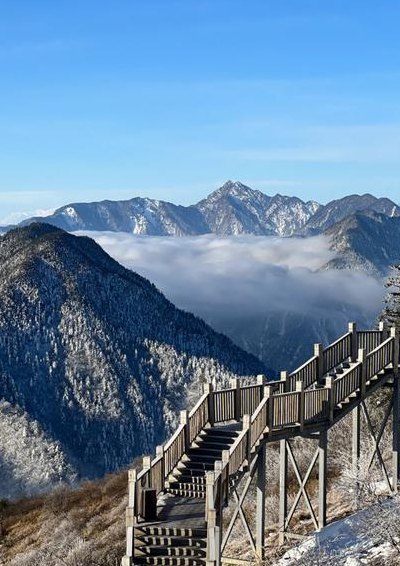 冬天去成都旅游合适吗（冬天去成都冷吗）