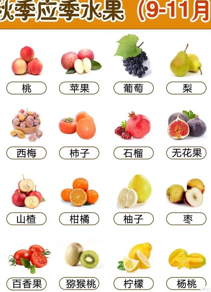 秋季吃什么水果好（秋季吃什么水果好和蔬菜好）