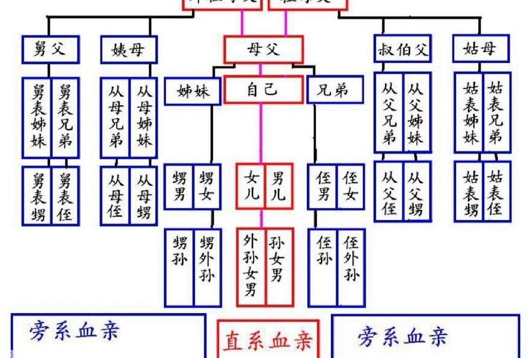 三代直系亲属包括哪些（当兵三代直系亲属包括哪些）