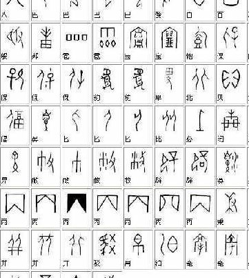 会意字指的是什么（一年级36个会意字）