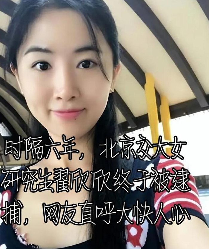 翟欣欣事件（北京翟欣欣事件）