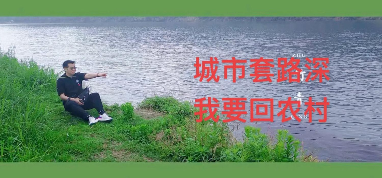 城市套路深我要回农村下一句（城市套路深我要回农村的下句）