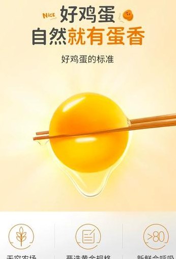 今日鹌鹑蛋价格的简单介绍