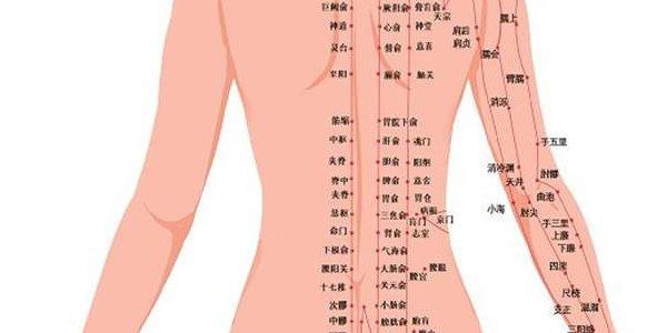 人体十二经络走向图解（人体十二经络的走向图）