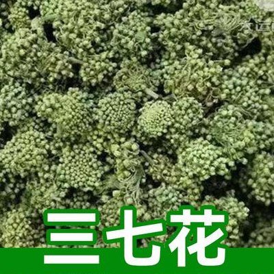 三七花价格多少钱一斤（三七花卖多少钱一斤）