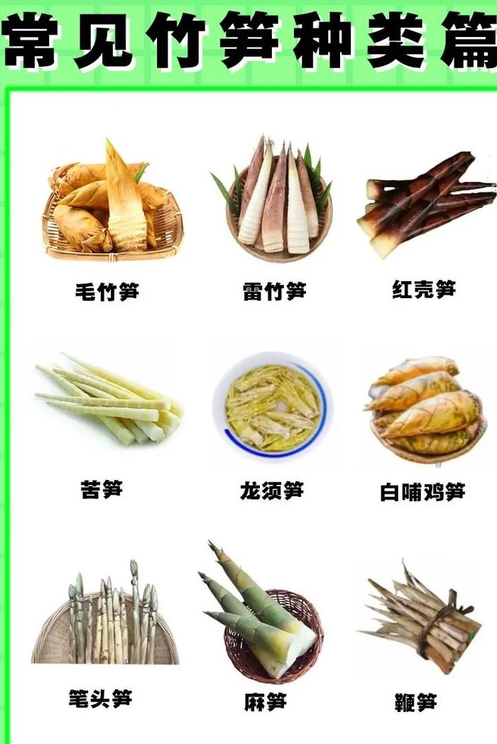 冬笋和春笋有什么区别（冬笋和春笋有啥区别）