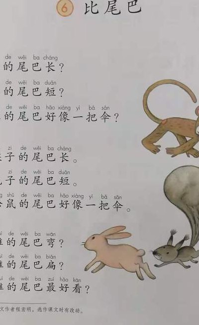 鸭子的尾巴像什么（鸭子的尾巴像什么比喻）