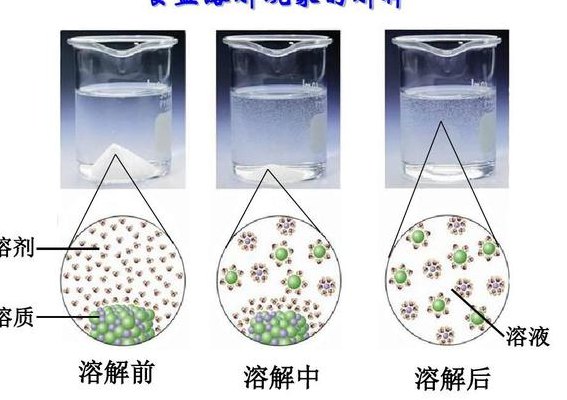 溶剂是什么（溶质是什么）