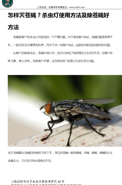 苍蝇多用什么方法消灭（院子苍蝇多用什么方法消灭）