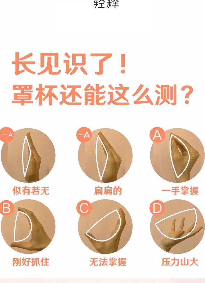 罩杯大小（如何测胸围和罩杯大小）